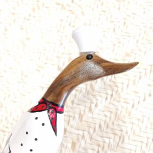 canard chef cuisiner 1.1 canard chef cuisiner 1.1